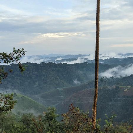 Nyungwe Village Kitabi المظهر الخارجي الصورة