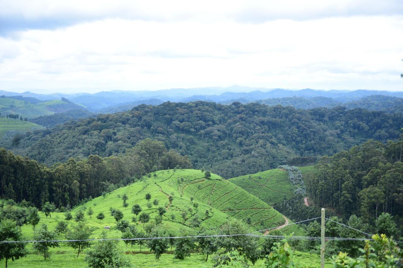 Nyungwe Village Kitabi المظهر الخارجي الصورة
