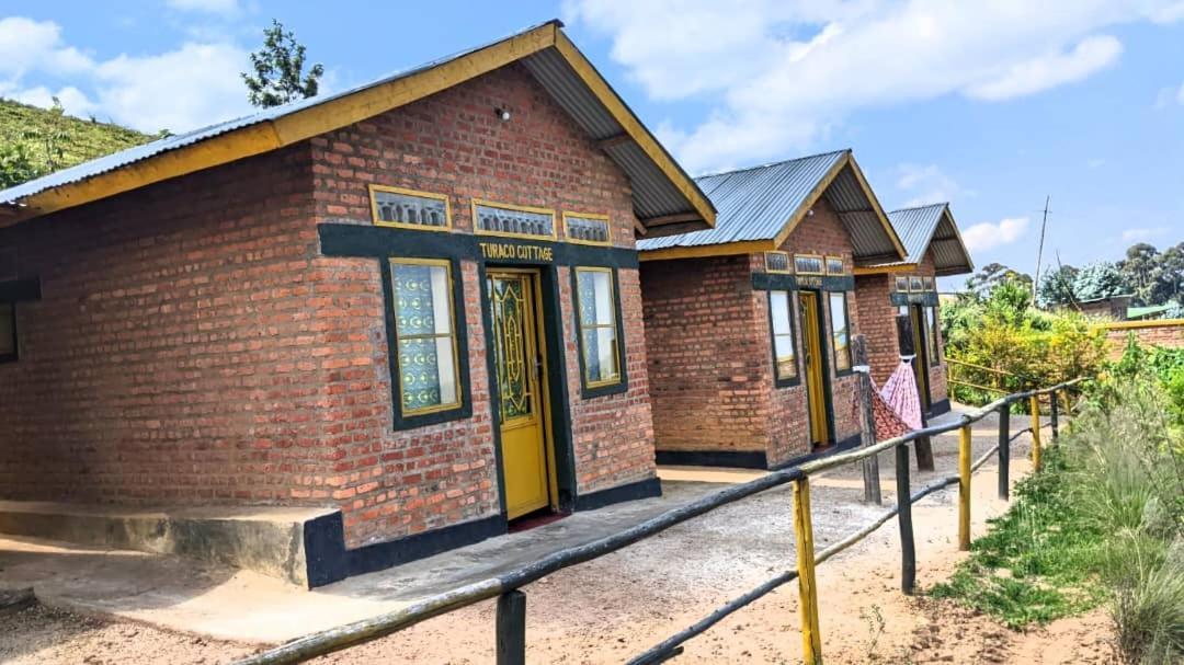 Nyungwe Village Kitabi المظهر الخارجي الصورة