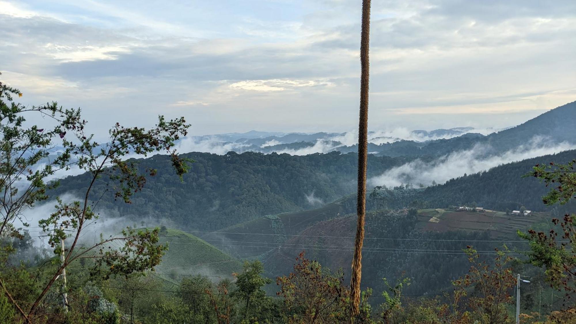 Nyungwe Village Kitabi المظهر الخارجي الصورة