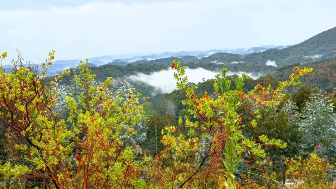 Nyungwe Village Kitabi المظهر الخارجي الصورة