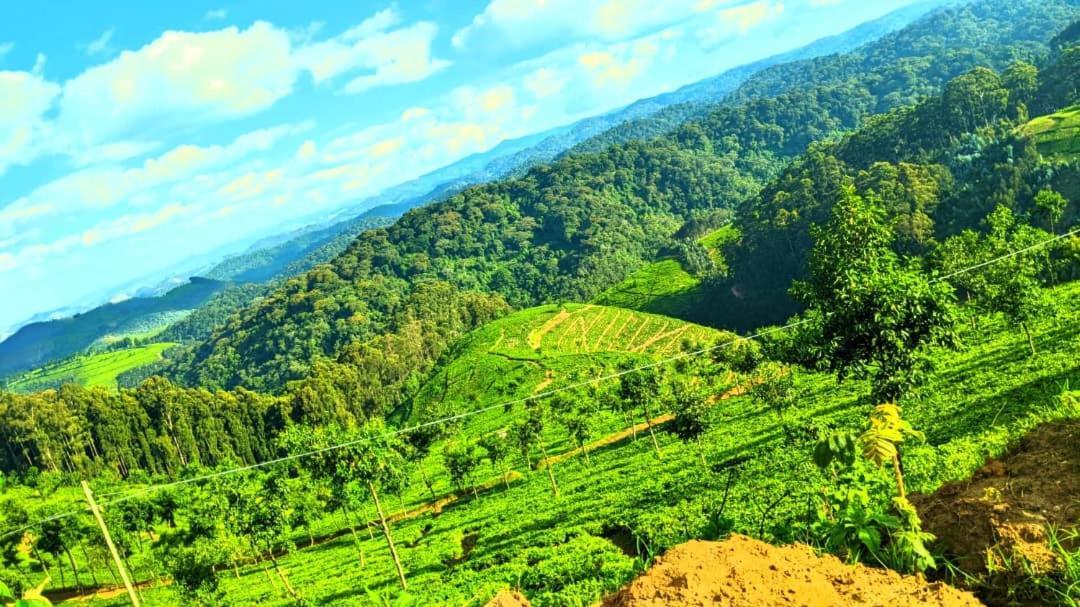 Nyungwe Village Kitabi المظهر الخارجي الصورة